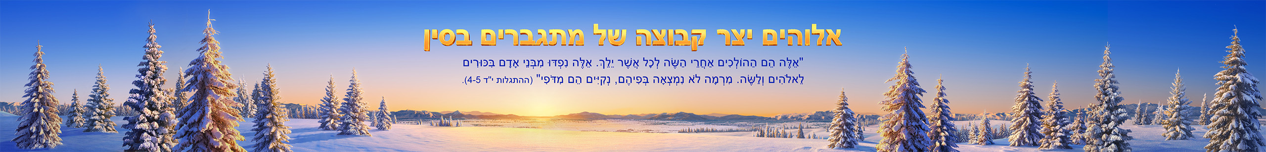 Banner-experience-3-pc