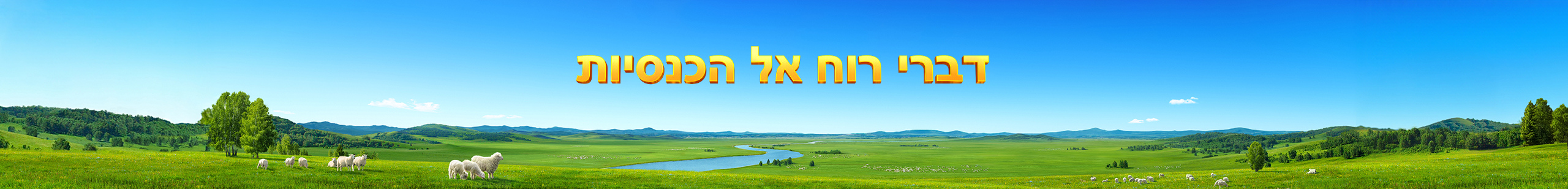 Banner-book-pc